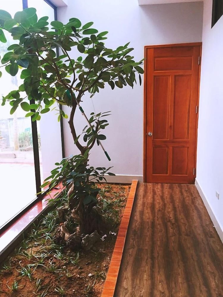 D'home Homestay Cat Ba 19/23
