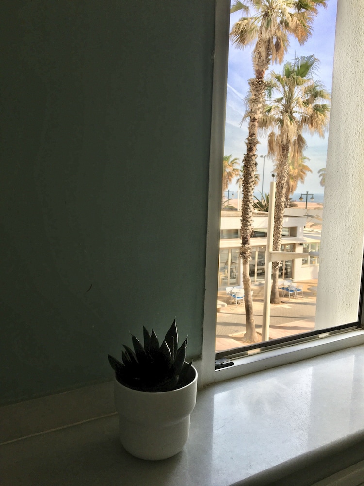 Miramar Valencia酒店(Hotel Miramar Valencia) 图片2
