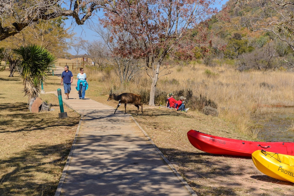 Waterberg Game Park 11/50