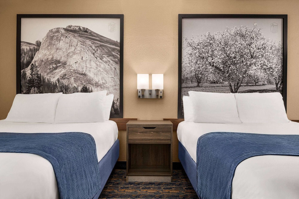 Super 8 By Wyndham Lindsay Olive Tree 31/61
