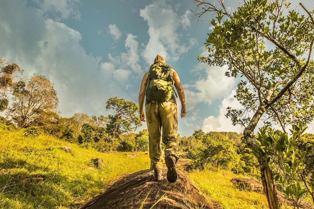 Ahaspokuna Bushwalks Camp 39/50