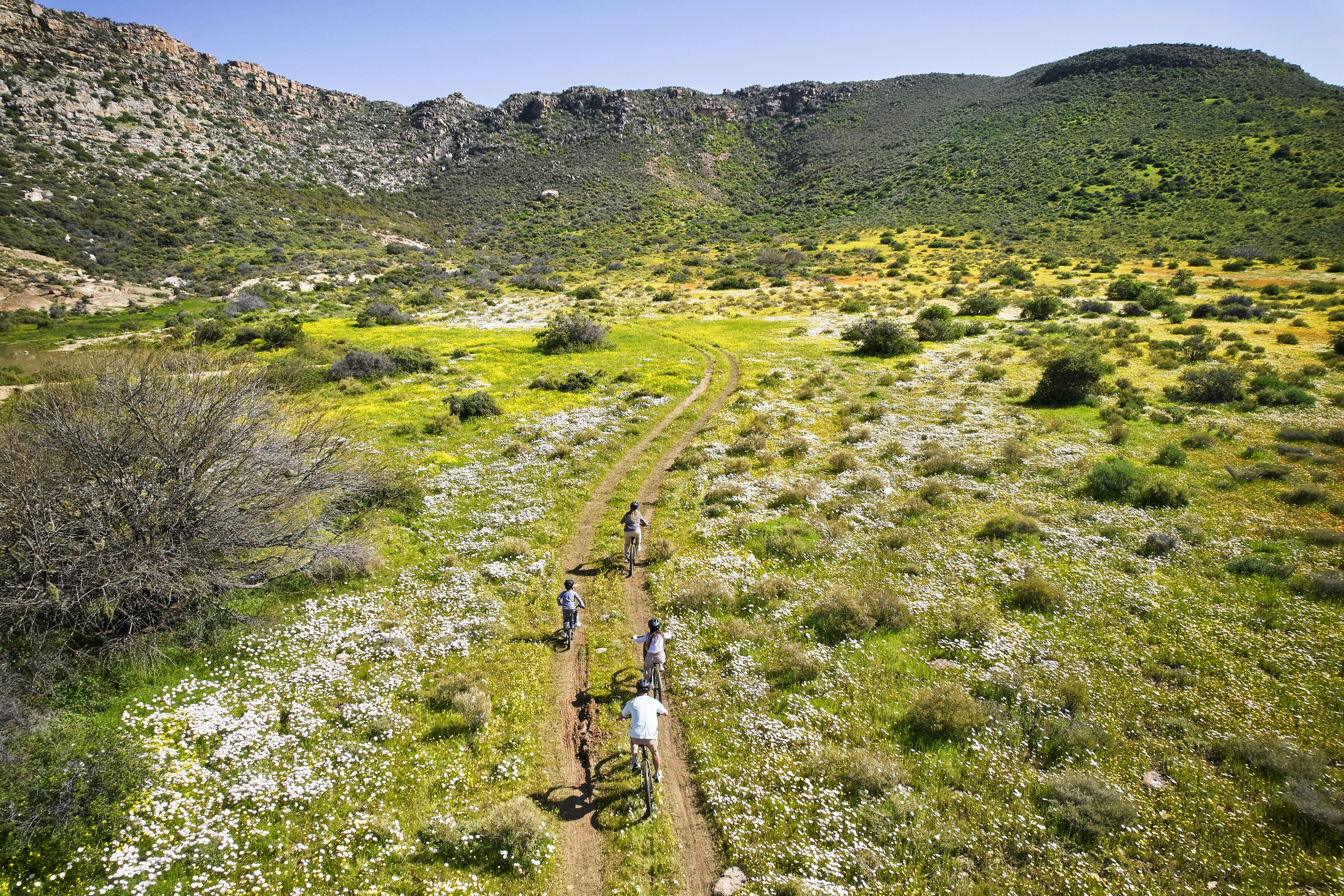 Bushmans Kloof Wilderness Reserve and Wellness Retreat 46/50