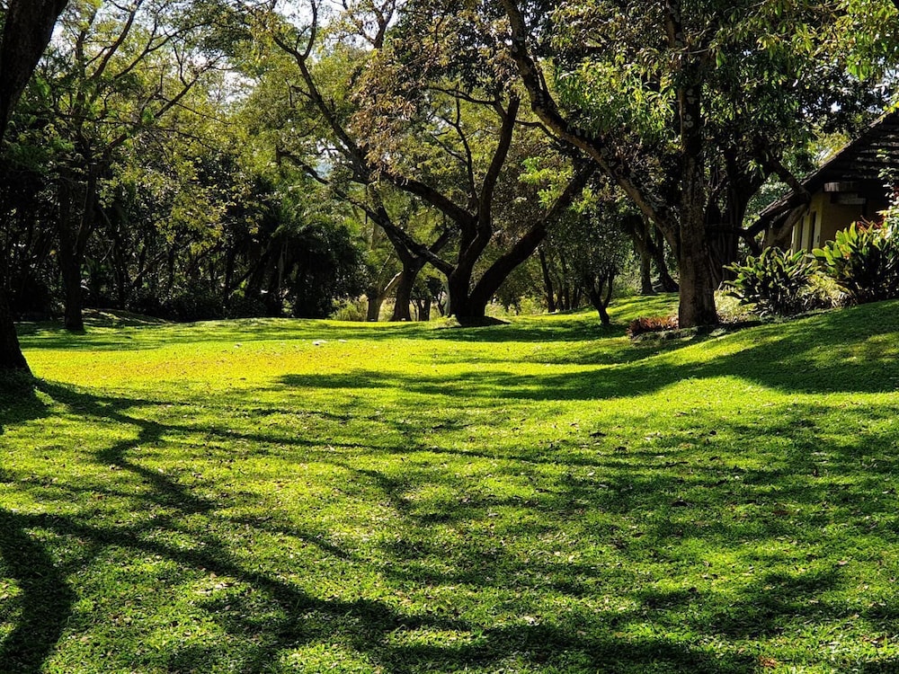 Sabi River Sun Resort 30/44