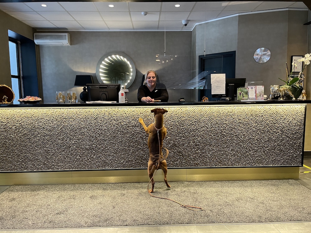 Hotel Statt Hassleholm, Bw Signature Collection 4/60