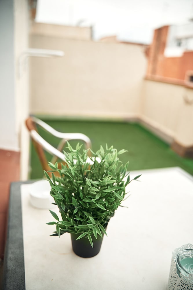 Loft Hostal 46/50