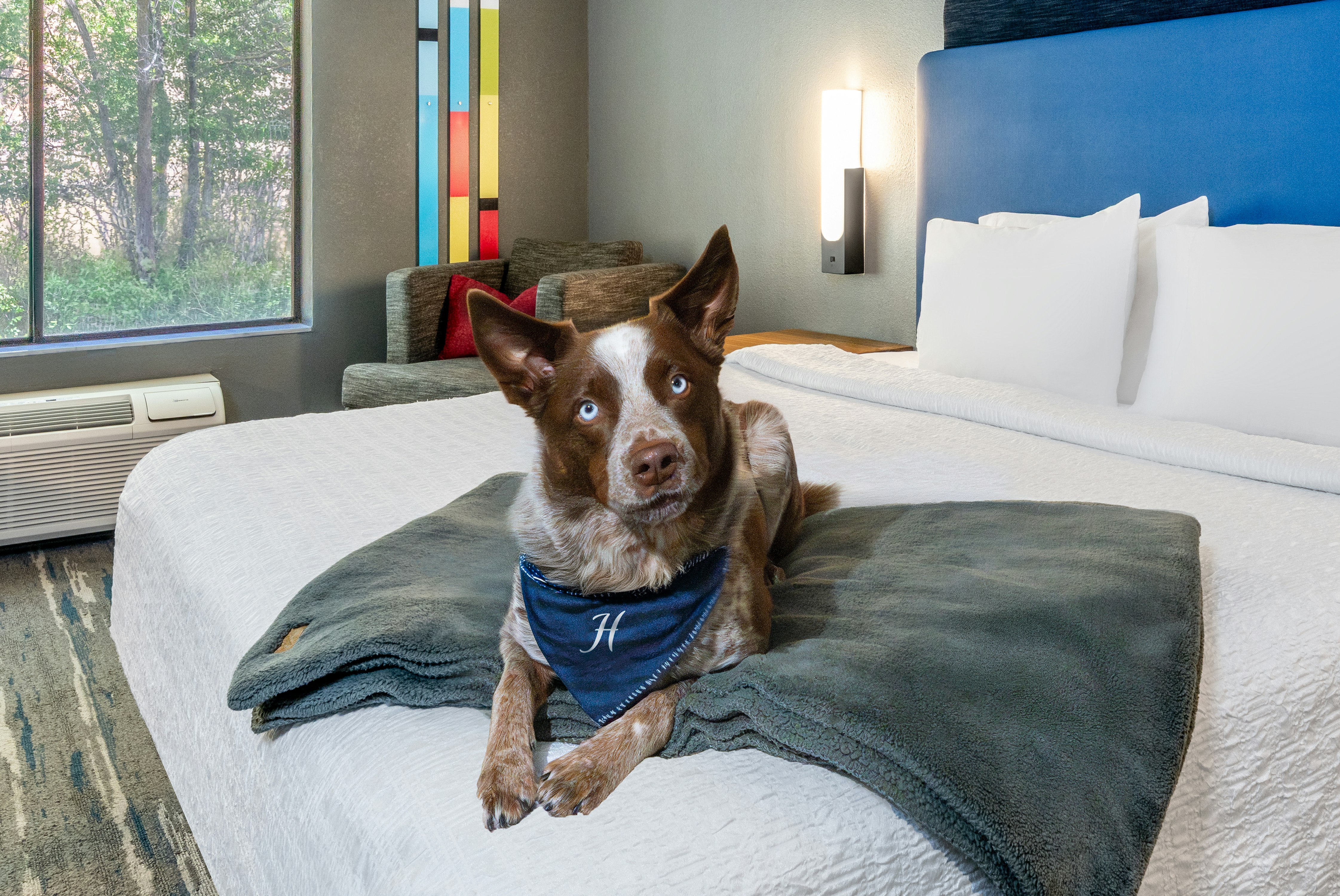Hampton Inn Glenwood Springs 41/71