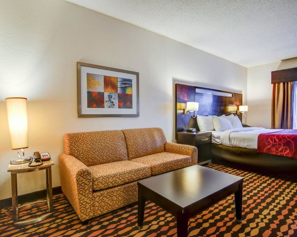 Comfort Suites Northside Hospital Gwinnett 31/47