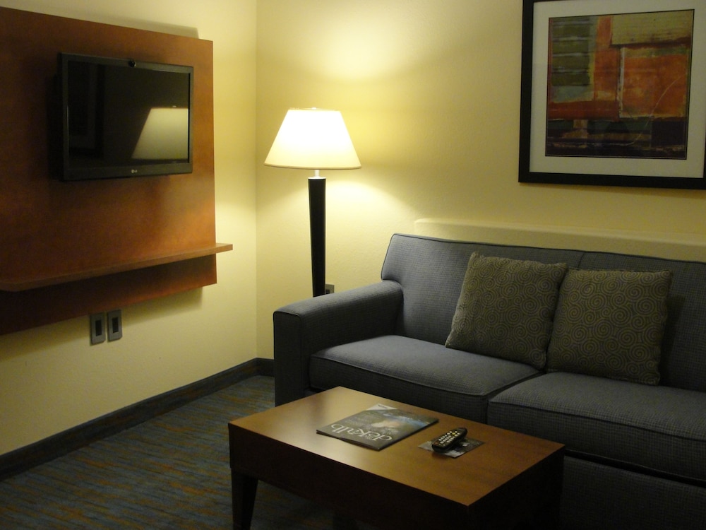 Holiday Inn Express Hotel Suites Atlanta East Lithonia 49/66