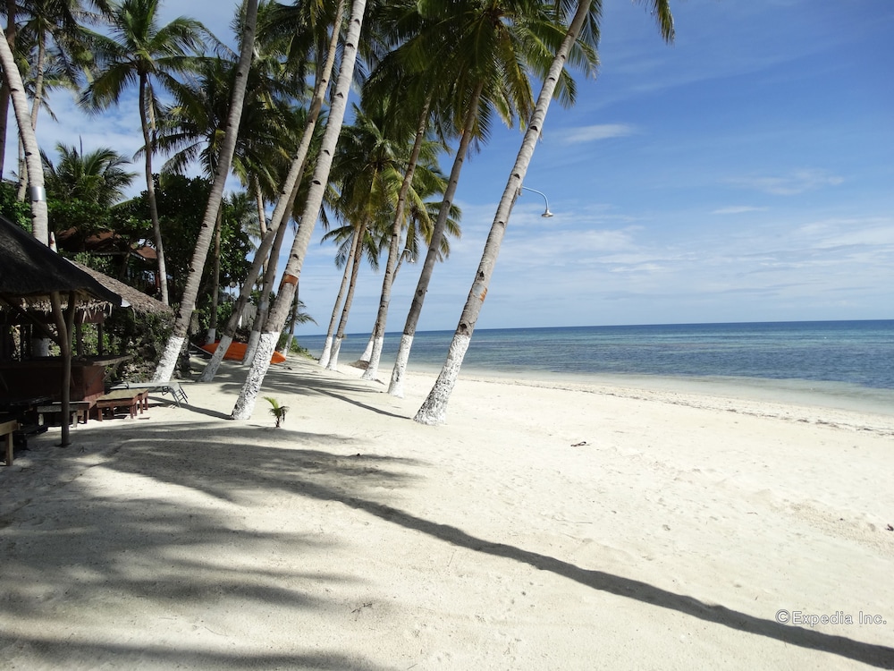 Anda White Beach Resort 60/64