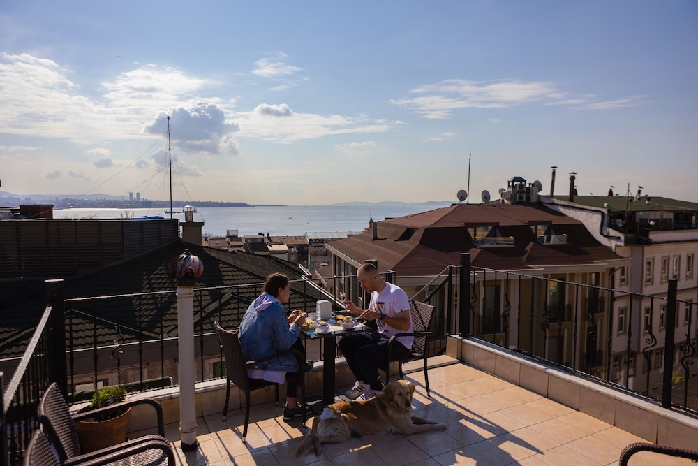 Agora旅馆&旅舍(Agora Guesthouse & Hostel) 图片5