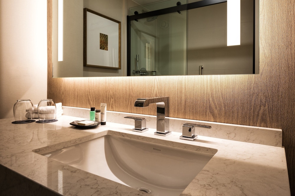 Sheraton Chicago O Hare Airport Hotel 26/73