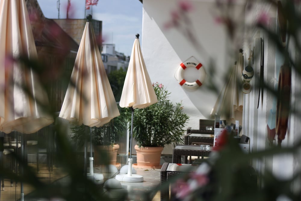 Hotel Am Markt photo3