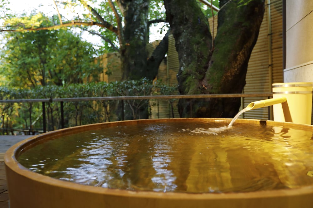 Izunagaoka Onsen Yumeguri no Yado Yoshiharu 24/47