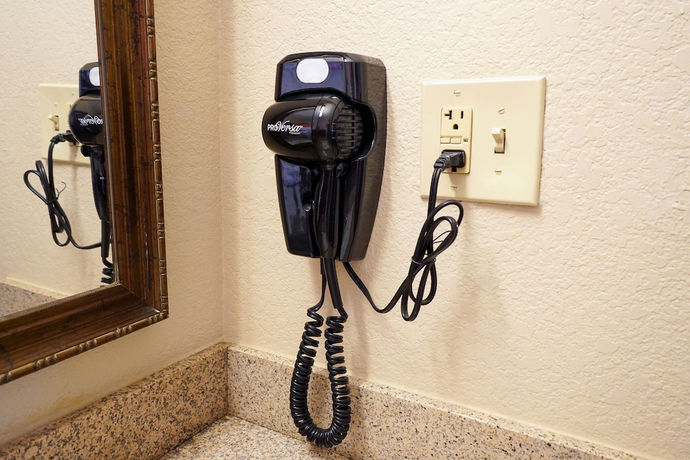 Rosen Inn International photo4