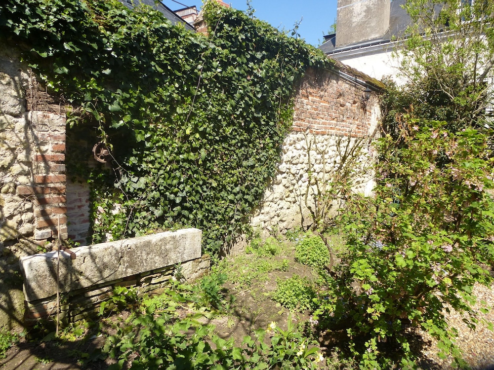 La Petite Vigne 31/37