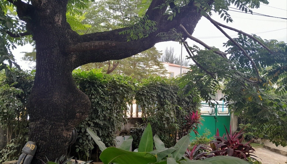 Casa De Ferias 31/34