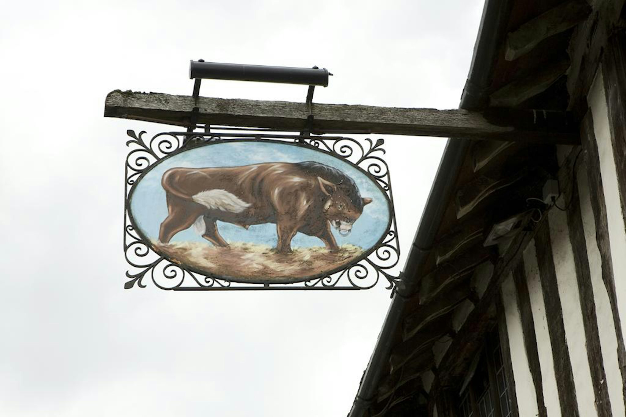 THE BULL 8/15