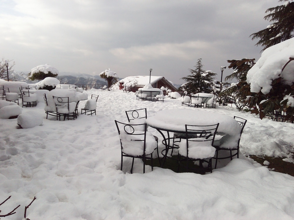 The Chalets Naldehra(Ex WelcomHeritage Chalets Naldehra) 47/50
