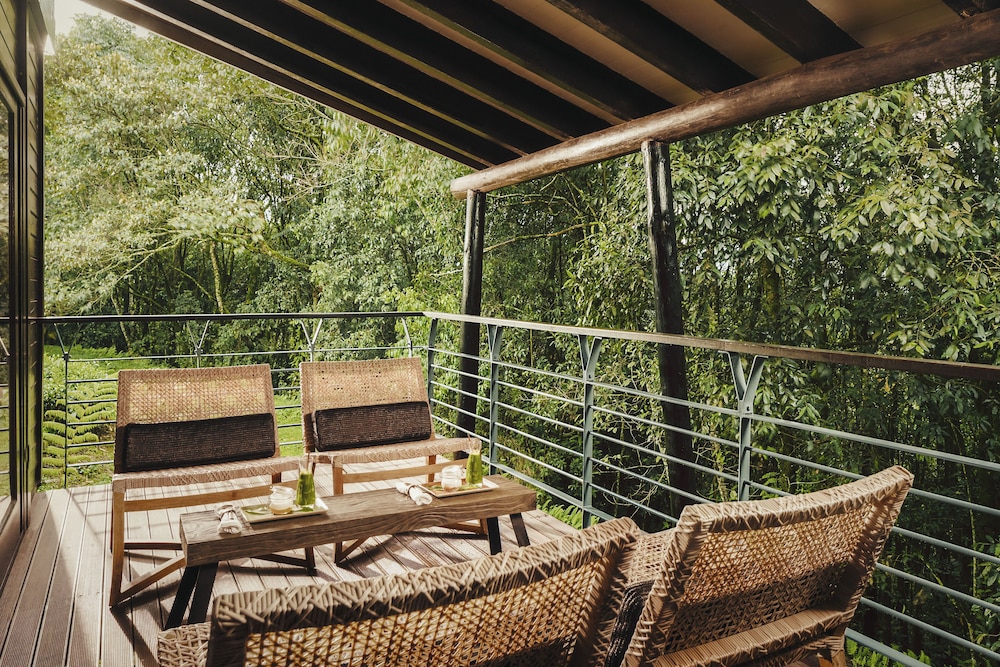 Nyungwe Tea Forest Resort 33/71