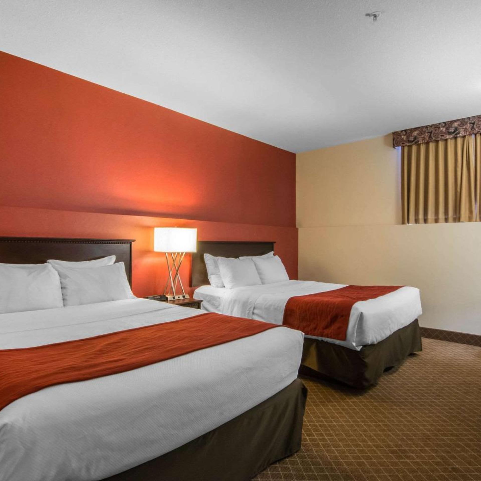 Basement, King Bed, 2 Queen Beds