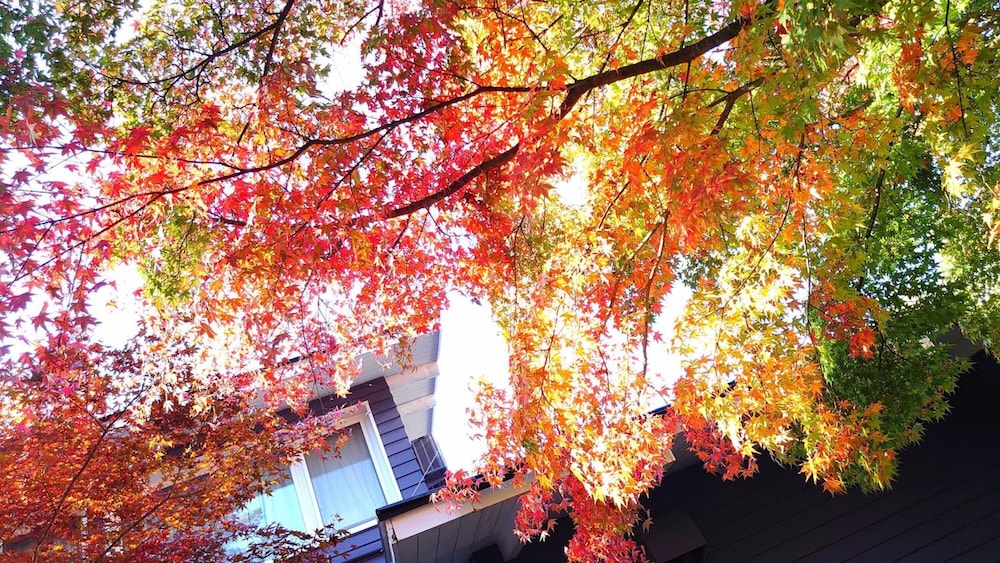 Kyu Karuizawa Hotel Shinonome 47/48