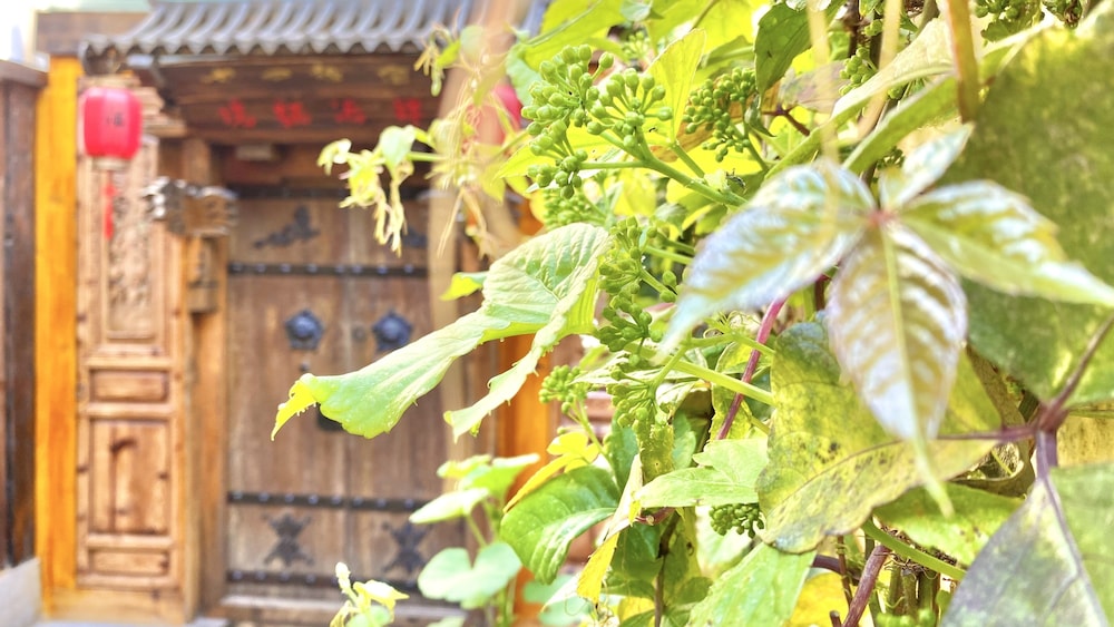 China Old Story Inn Lijiang Elite Garden 45/50