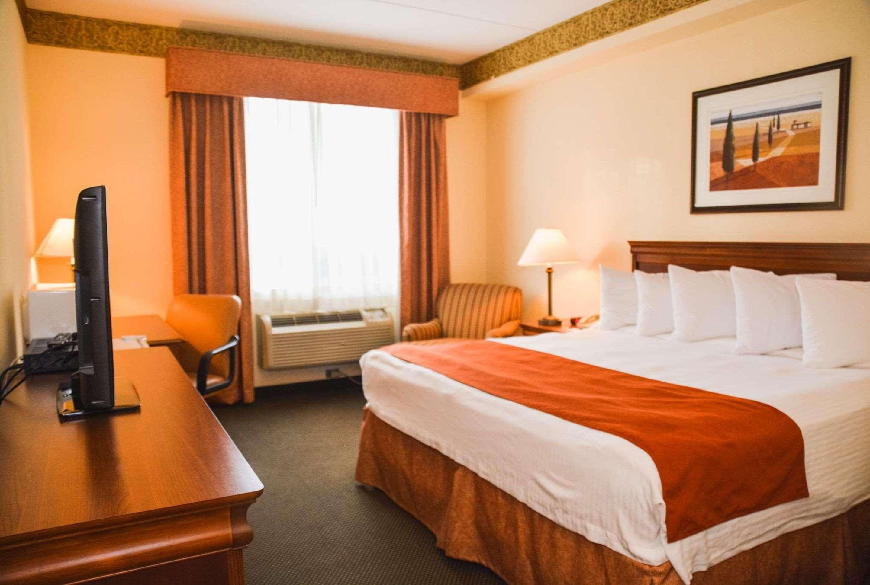 Room, King Bed