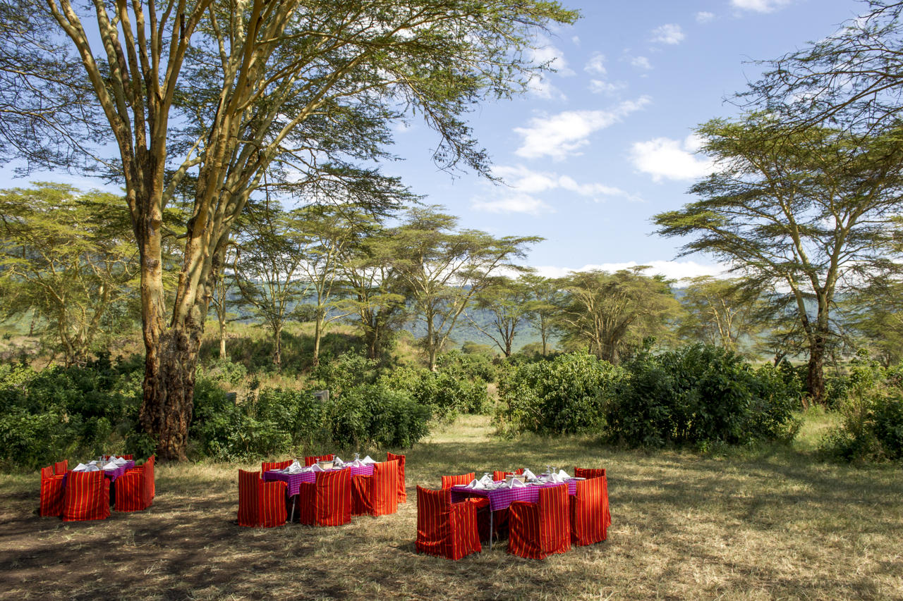Ngorongoro Serena Safari Lodge 47/58