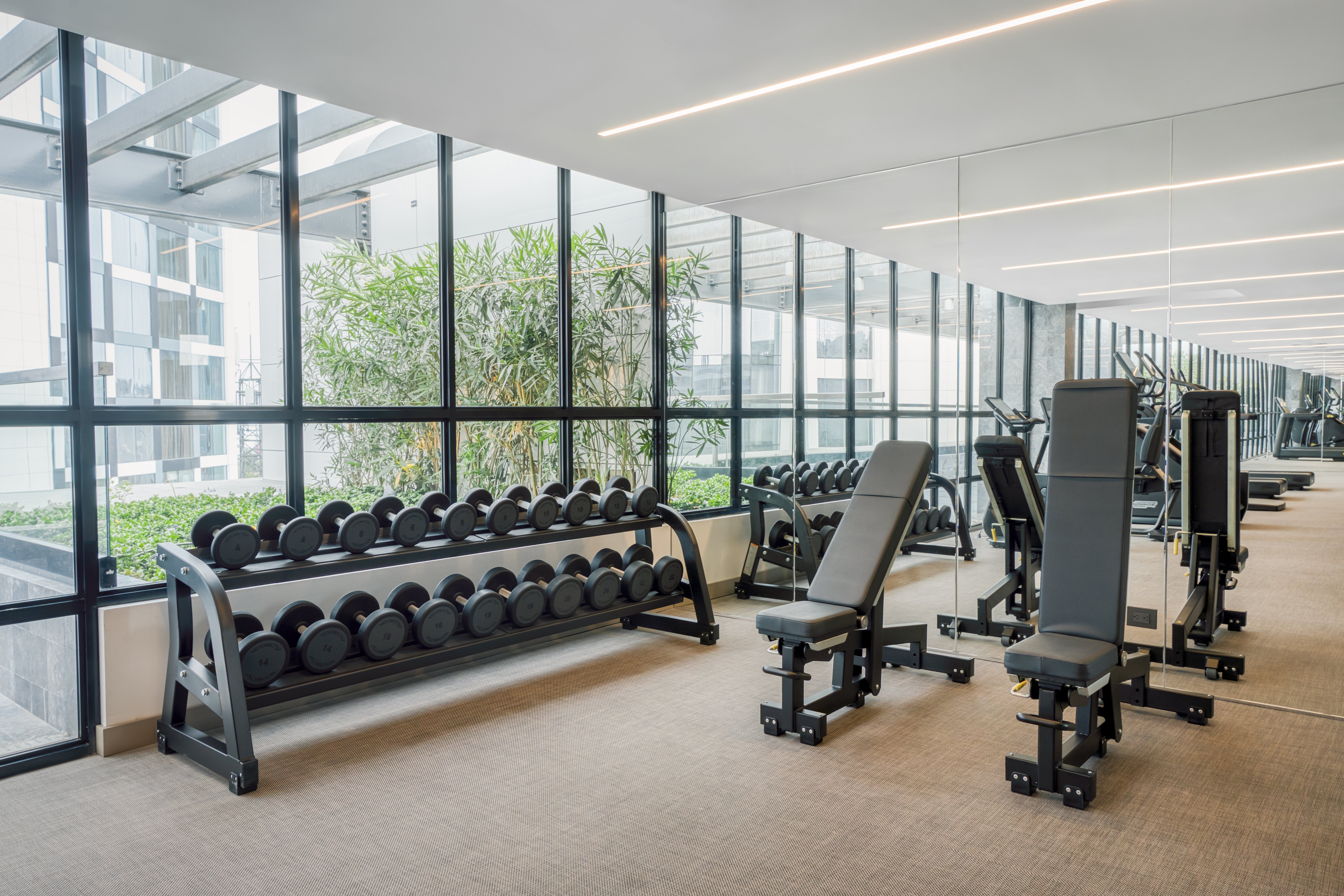Hotel Indigo Lima Miraflores 10/50