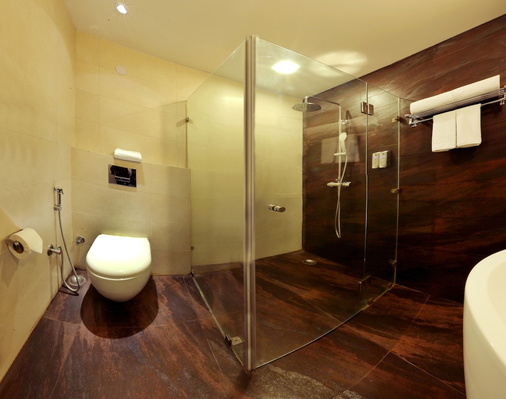 Five Elements Hotels North Avenue Delhi 25/25
