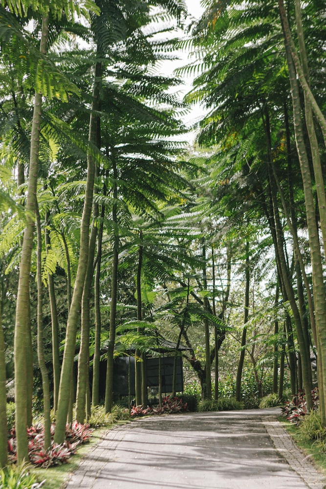 The Hill Hotel & Resort Sibolangit Powered by Archipelago 45/62