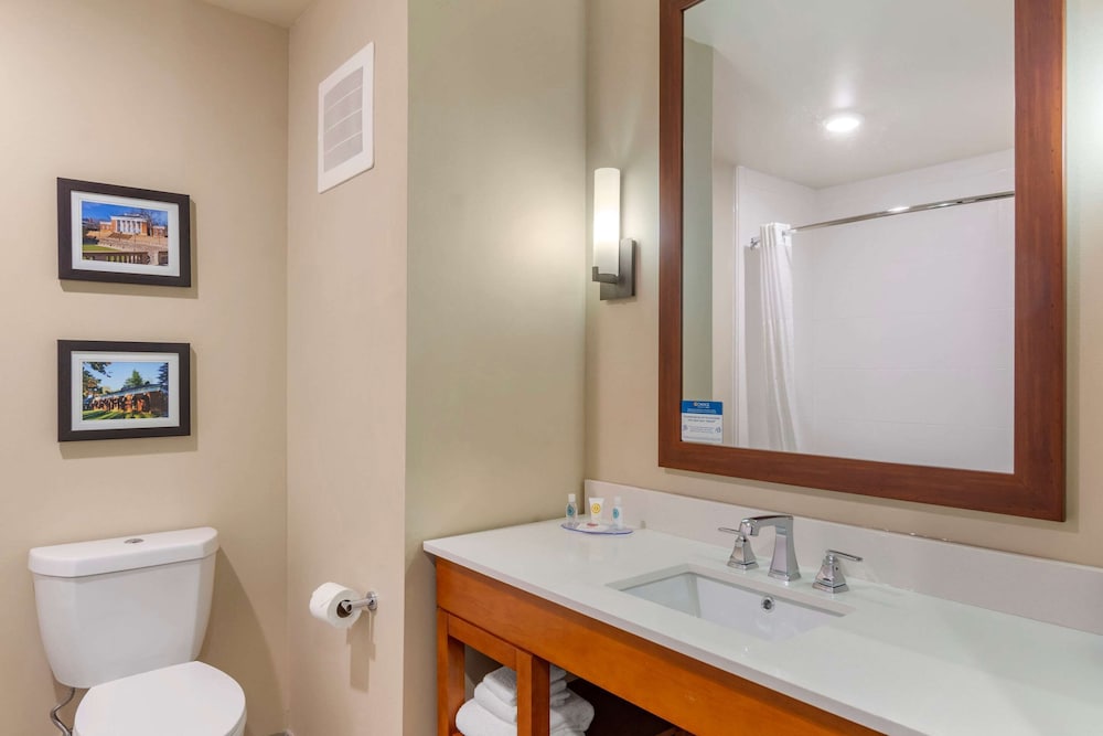 SUITE, KING BED