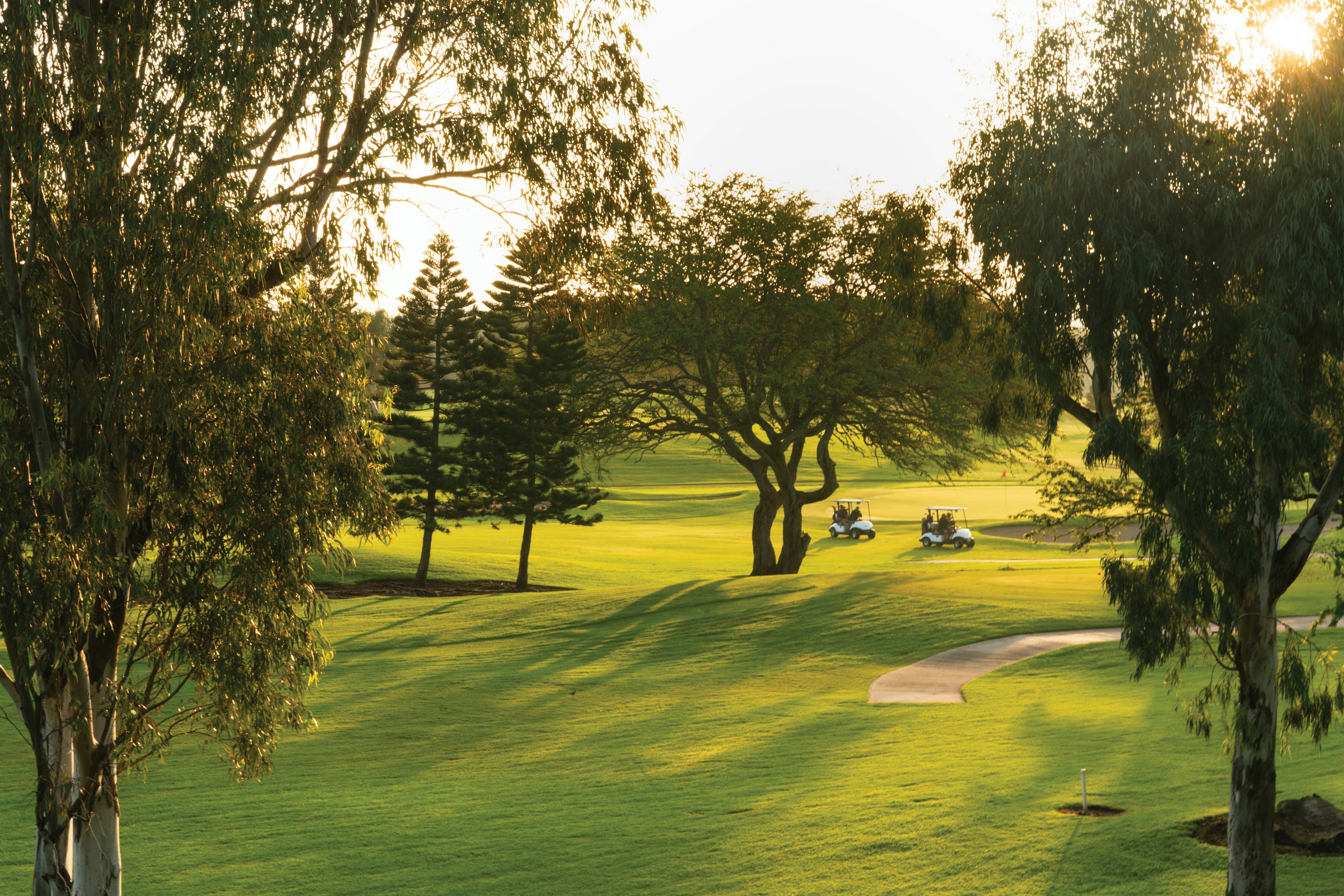 Paniolo Greens at Waikoloa Village 79/79