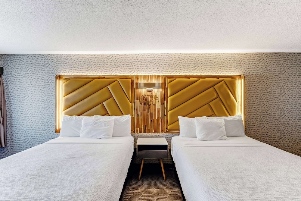 The Wander Hotel, a Ramada by Wyndham 20/52