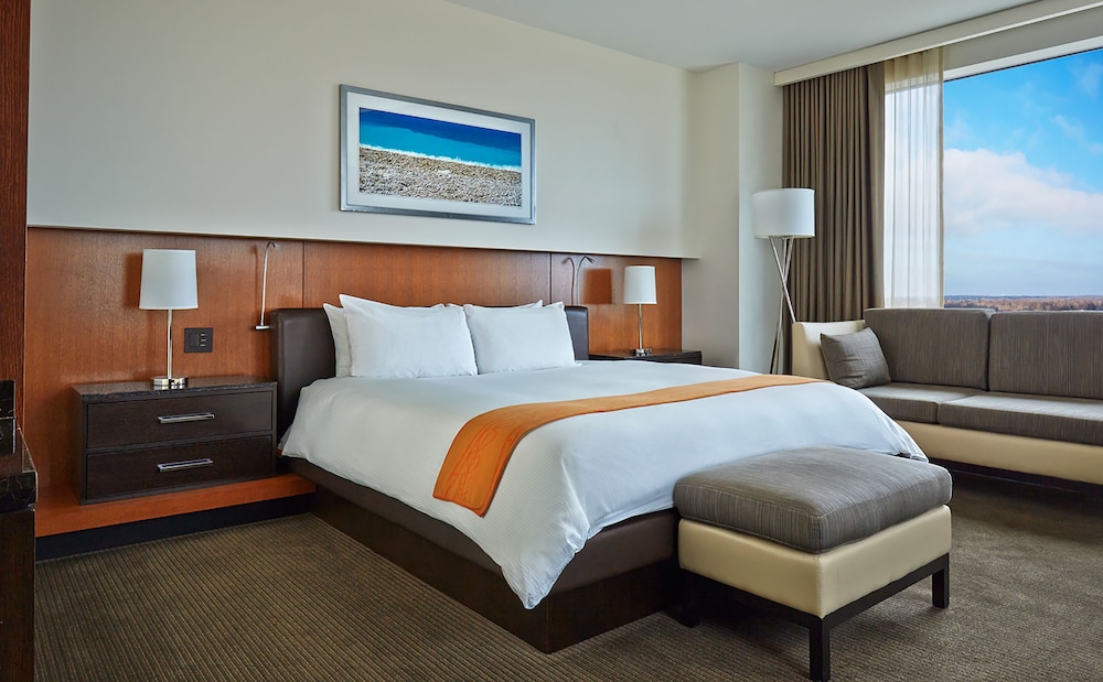 Hotel Arista At Citygate Centre 17/62