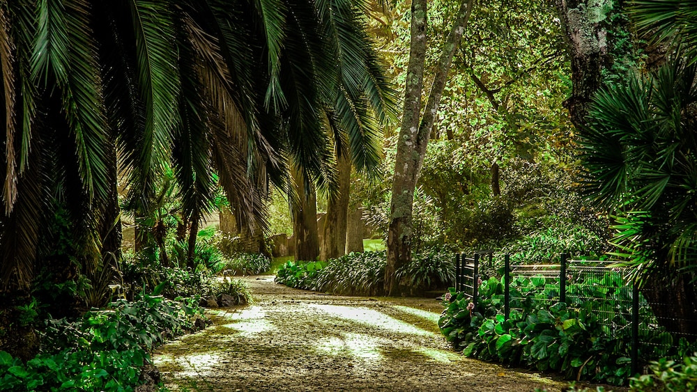 Sintra Marmoris Palace 76/80