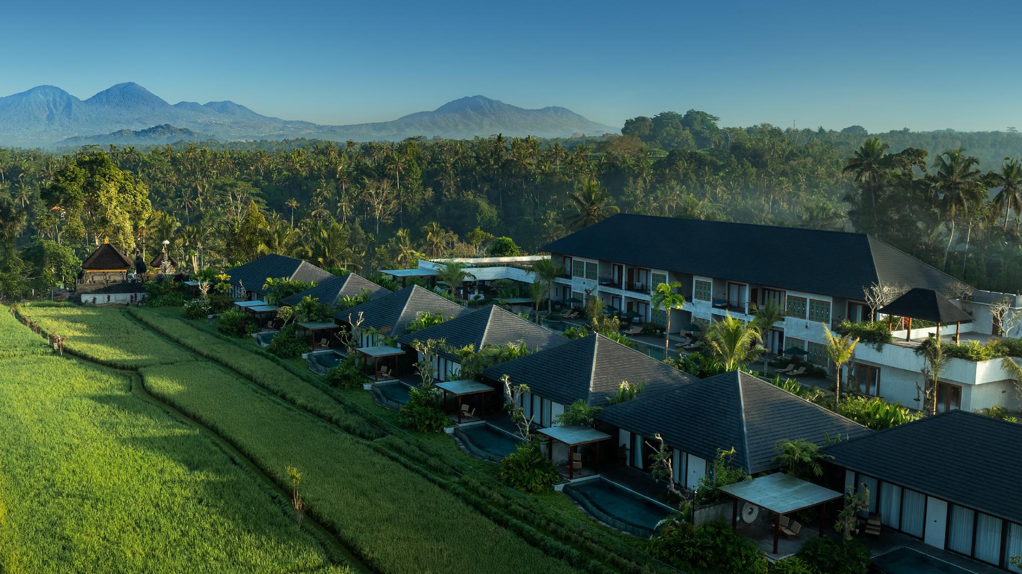 Duplex, Villa, Pool View