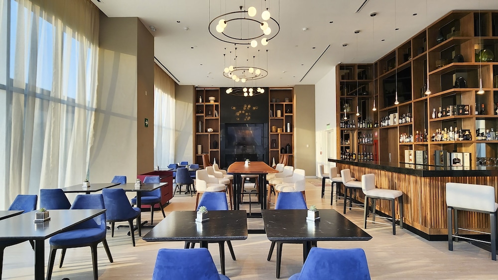 Hyatt Regency Mexico City Insurgentes 45/65