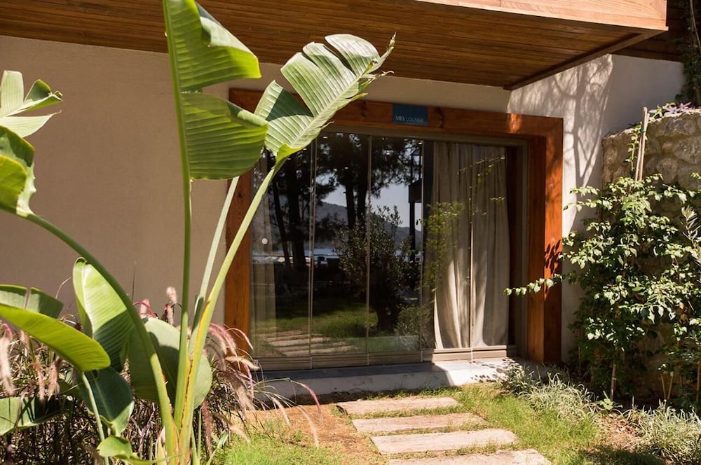Miamai Hotel - Adults Only 3/50