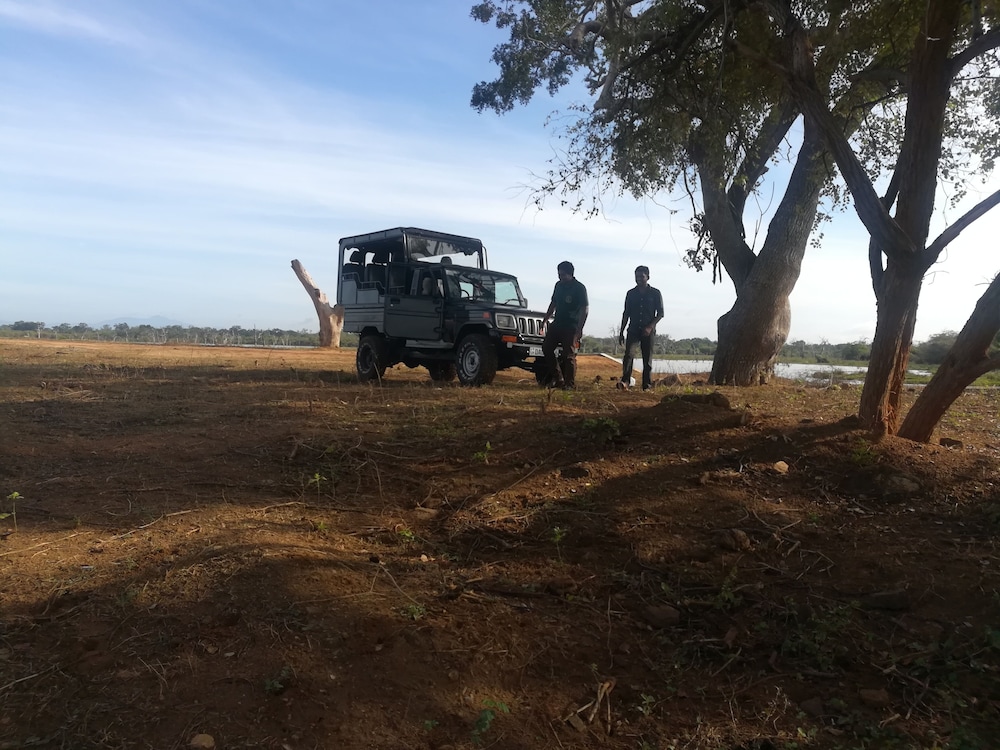 Wild Eco Safari 15/22