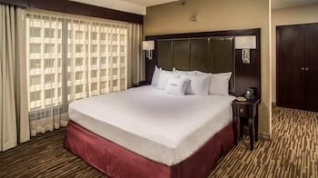 The Capital Suites Hotel 13/60