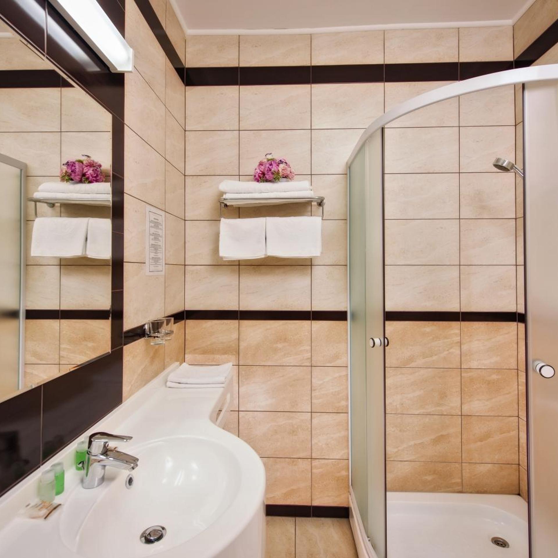 Business, Double Bed, Hotel Ozana 8/9
