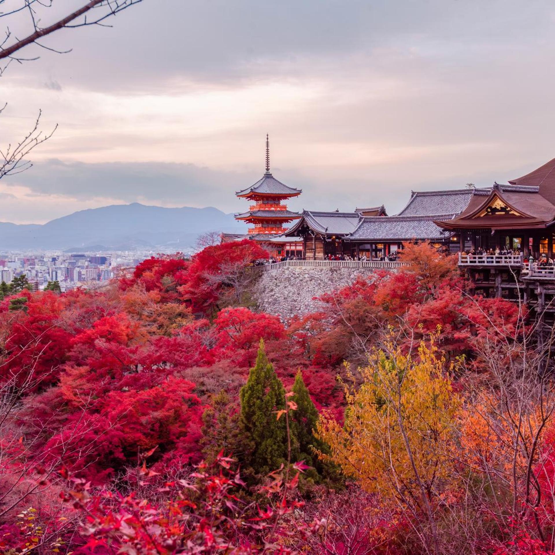 STITCH HOTEL Kyoto 45/50