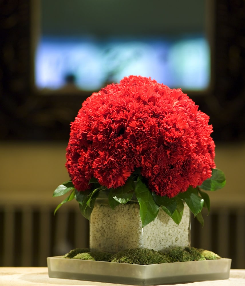 Hotel D Angleterre Geneva 32/64