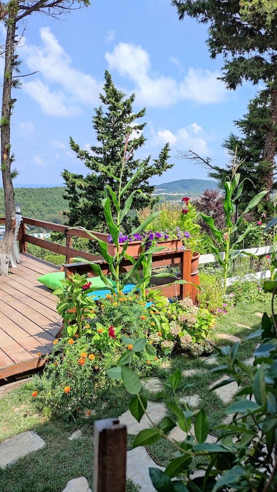 Agva Green Blue Otel 22/24