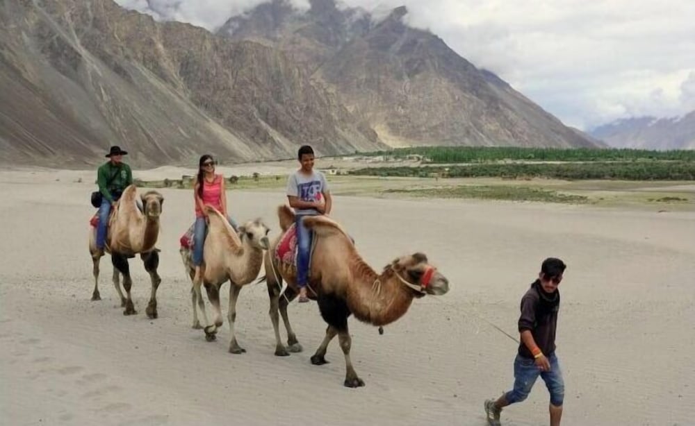 The Eden Resort Nubra 20/24