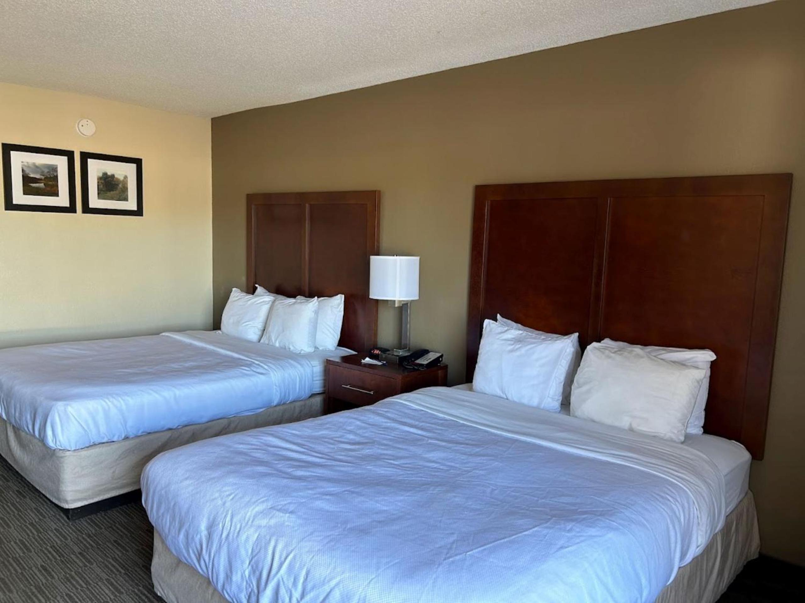 Room, 2 Queen Beds, Pet Friendly, Accessible
