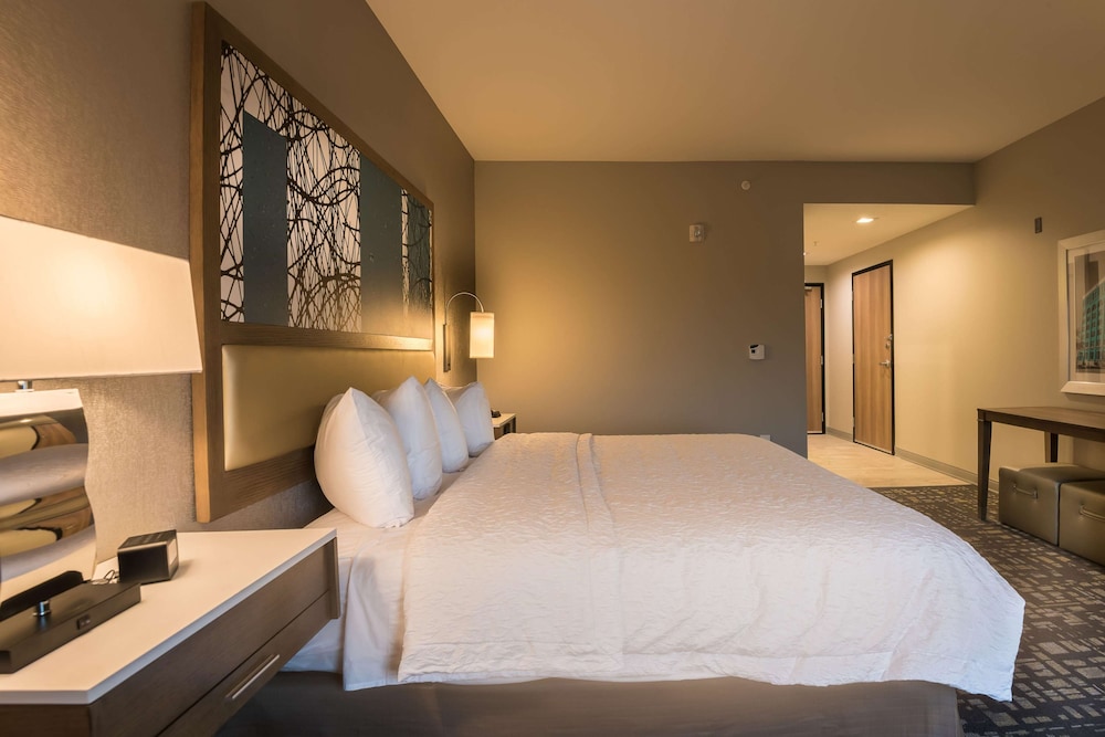 Hampton Inn Suites Dallas the Colony Tx 21/48