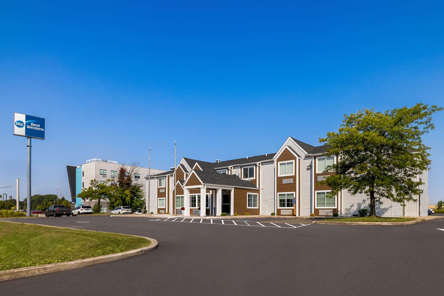 Best Western Buffalo Inn & Suites 1/19