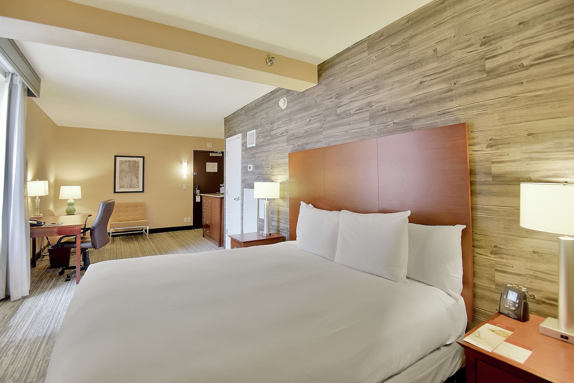 Room, King Bed, Allergy Friendly